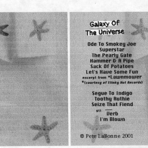 Galaxy Of The Universe by Pete LaBonne